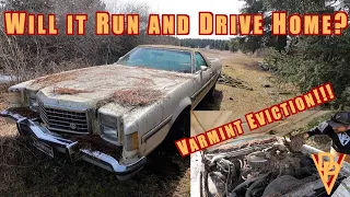 Will it Run and Drive Home? 1977 Ford Ranchero