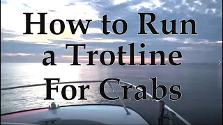 How to Run a Trotline for Crabs