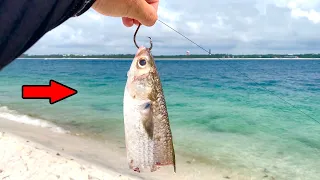 Biggest Fish of My Life Ate This GIANT Bait! (New Beach Record)