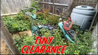 SMALLEST Overgrown Yard Clearance