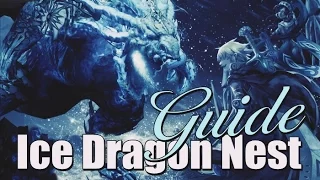 Dragon Nest Sea - Ice Dragon Nest 4 man (Guide)