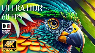 BRILLIANT ANIMALS - 4K HDR 60fps Dolby Vision with Animal Sounds & Soothing Music (Colorful Dynamic)