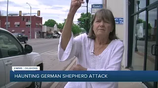 Haunting German Shepherd Attack
