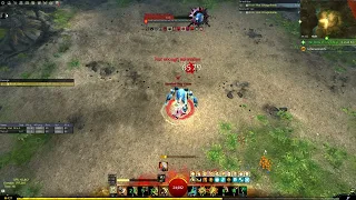 GW2 Power Berserker 43.2k (28/11 patch)