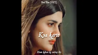 tere bin ost WhatsApp status ||Lyrical video ||hum Kahan ke sache thy