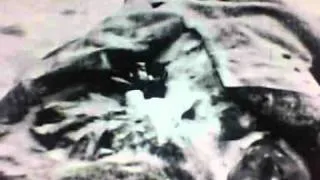 Aldolf Hitler "Old footage"   VID01444.AVI