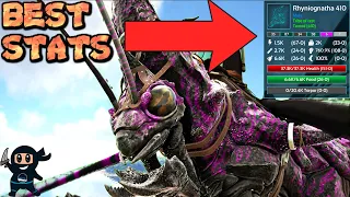 Ark: Best Stats Rhyniognatha guide