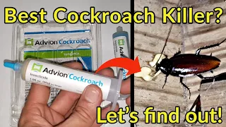 Does Advion Cockroach Gel Work? Let's see the proof! | Syngenta 383920 Gel Bait Roach Killer