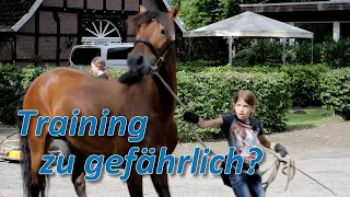 Panikpony Training mit 10-jähriger Besitzerin zu gefährlich? Oder kann sie sein Vertrauen gewinnen?