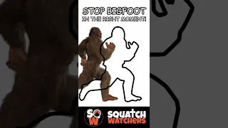 CATCH THE BIGFOOT!