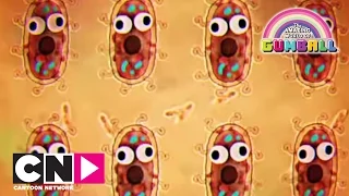 Invazia bacteriilor | Uimitoarea lume a lui Gumball | Cartoon Network