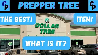 Dollar Tree Emergency Preparedness