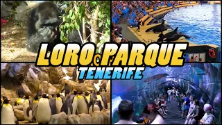 LORO PARQUE - Loro Park - Puerto de la Cruz - Tenerife (4k)