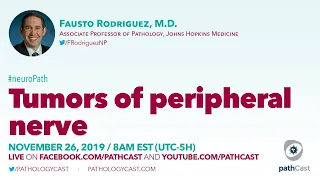 Tumors of peripheral nerve - Dr. Rodriguez (Hopkins) #NEUROPATH