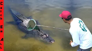 DO NOT TOUCH the WATER! **in Florida** #shorts