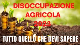 DISOCCUPAZIONE AGRICOLA 2023: CHE COS'E', A CHI SPETTA, COME CALCOLARLA E QUANDO RICHIEDERLA!