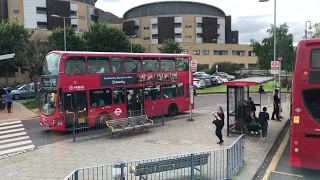 London Buses 365 19791 Stagecoach Romford Station