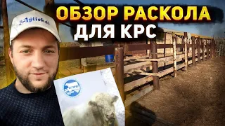 Обзор раскола для КРС