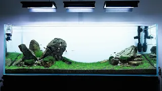 Weekaqua  A Series A430Pro-B LED Full spectrum water plant light