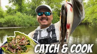 Trout Fishing Minnesota (Catch and Cook)