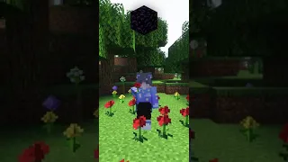 Czy wiedziałeś, że da się zniszczyć BEDROCK w Minecraft?