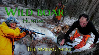 The management. Hunting WILD BOAR