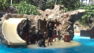 Loro Parque, Tenerife