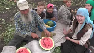 Арбуз всегда при копке картошки. 07. 09. 2019