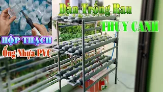 Hướng Dẫn Chế Dàn Thủy Canh Trồng Rau Mini từ ống nhựa PVC va vỏ thạch rau câu