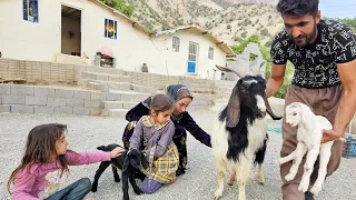 Construction master rescue the goat lost in the mountains and bring it back home