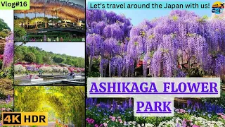 Ashikaga Flower Park Tokyo #indogjvlogs #vlog #travelling #japan #flowers