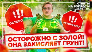 ЗАЧЕМ ГАСИТЬ ЗОЛУ И МОЖНО ЛИ ВЫРАСТИТЬ КАРТОФЕЛЬ ИЗ ЧЕРЕНКА? ОТВЕТЫ НА ВОПРОСЫ СЕМЕНА АЛТАЯ