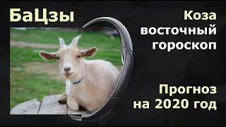 БАЦЗЫ. Прогноз на 2020 год крысы для людей,  рожденных  в год КОЗЫ