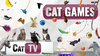 CAT-Spiele | Ultimate Cat TV Compilation Band 28 | 2 STUNDEN 🐝🐞🦋🦎🦜🐜🐭🧵