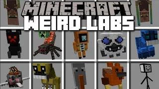 Minecraft WEIRD LAB EXPERIMENT MOBS MOD / PLAY WITH YOUR LAB AND SPAWN WEIRD MOBS!! Minecraft