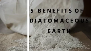 5 Benefits Of Diatomaceous Earth For Dogs and Cats
