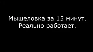 Мышеловка за 15 минут. Реально работает.