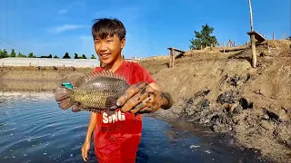 Anh Ba Phải | Thử Thách Vào Ao Nuôi Cá Xin Bắt Cá - Bắt Sướng Tay | Catch fish