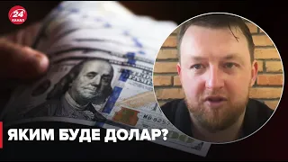 Що буде з доларом та євро літом? Прогноз Сергія Фурси