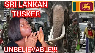 SRI LANKAN TUSKER CAME TO KANDY WITH GOVERNMENT SECURITY