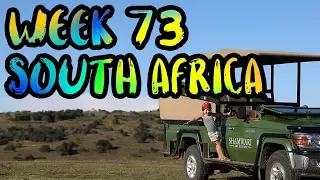 Our 1st Time in Africa!! Wild Lions and Elephants on the Safari! /// WEEK 73 : South Africa
