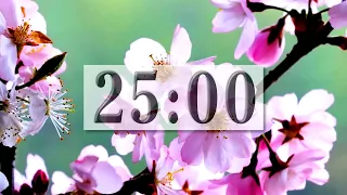 【25 Minutes】Spring Meditation 🌸 Peaceful Relaxing Music + Countdown Timer - Focus, Yoga, Study