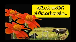 ಹಕ್ಕಿಯ ಹಾಡಿಗೆ ತಲೆದೂಗುವ ಹೂ | hakkiya haadige thale dooguva huu | @aathmeeyaacreations