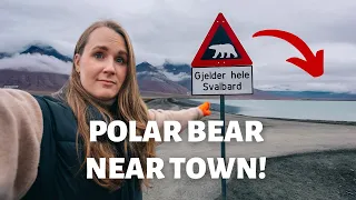 a POLAR BEAR is super close to OUR TOWN | How Longyearbyen handles Polar Bears on Svalbard