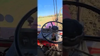 mtz 82 voogel noot l 950 szántás trikitálé alá