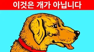 당신의 눈을 속이는 11가지 착시 현상