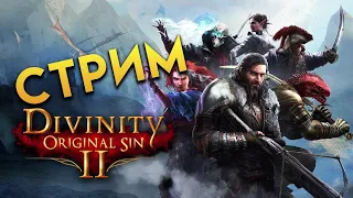 Стрим по заказу Divinity: Original Sin 2 - Definitive Edition