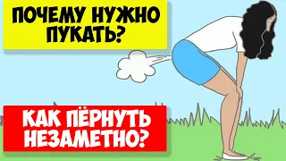 Почему человек ПУКАЕТ? Пукать это норма. Как скрыть непроизвольный пук?