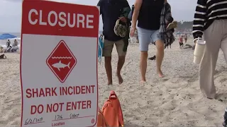 Shark bites man off California shores