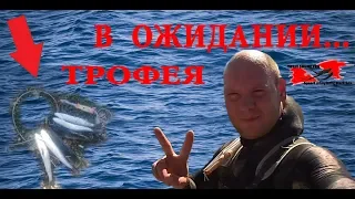 #В Ожидании ТРОФЕЯ, подводная охота в Черном Море 2019